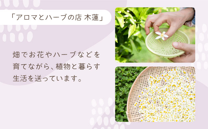 ふわもこ コットンリース【木蓮】 [HBX002]雑貨 インテリア