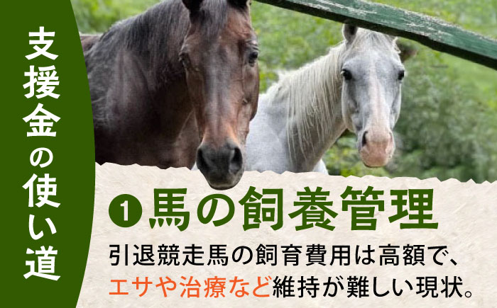 引退競走馬支援 500,000円 【CLUB RIO】 支援 動物支援 [HBY009]