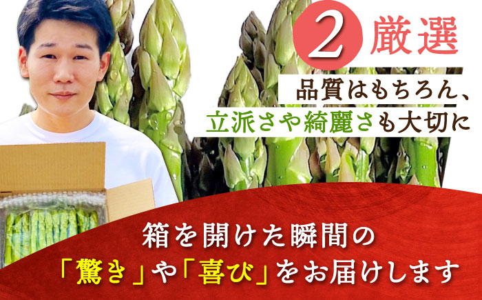 【新鮮でみずみずしい】春芽アスパラガス 700g【けいちゃん農園】 [HCC005]