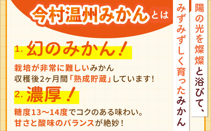 【先行予約】【2月～3月発送】幻のみかん タッチの甘熟「今村温州みかん」5kg 【夢の完熟みかん タッチ】 [HCE002]