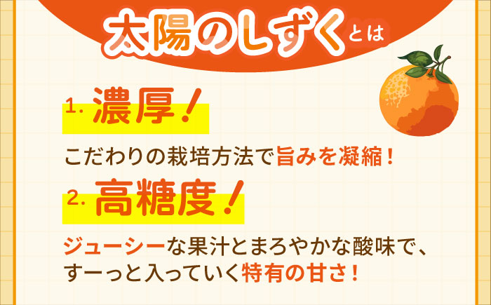 【先行予約】みかん食べくらべ定期（太陽のしずく・今村温州みかん）【夢の甘熟みかん タッチ】フルーツ 佐賀みかん 温州みかん [HCE003]