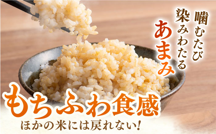 令和7年産 ももちゃんちのお米 さがびより 玄米 30kg【ももさき農産】 [HCG001]