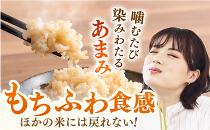 令和7年産 新米 ももちゃんちのお米 さがびより 玄米 5kg 【ももさき農産】 [HCG004]