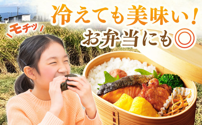 令和7年産 新米 ももちゃんちのお米 さがびより 玄米 10kg（5kg×2袋） 【ももさき農産】 特A米 特A評価 [HCG015]