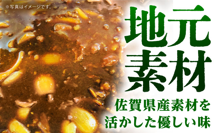 【全6回定期便】佐賀牛 牛すじカレー 4袋セット【創作キッチンRana】 [HCK018] 牛肉