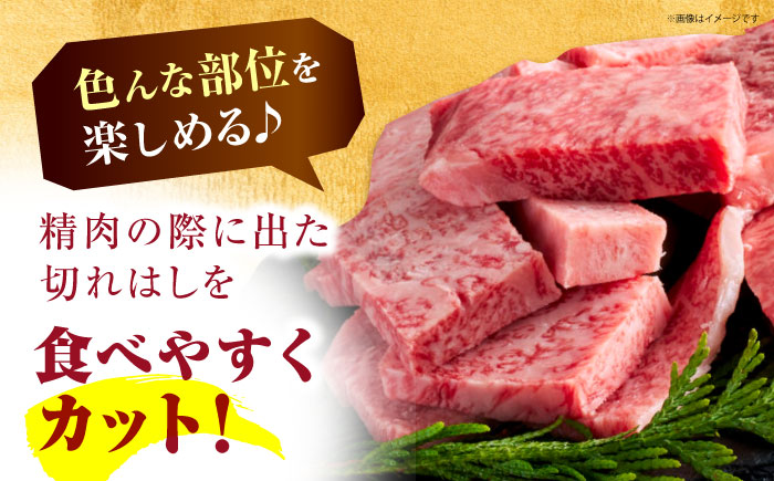 ＜全12回定期便＞佐賀牛 はしっこちゃん 500g（ロース カルビ）【がばいフーズ】佐賀牛 A5  A4 焼肉 カレー [HCS043]