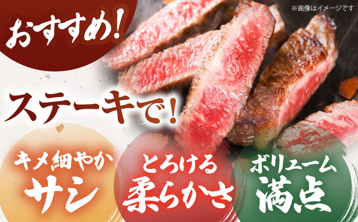 ＜全12回定期便＞佐賀牛サーロインステーキ 250g【がばいフーズ】A5ランク 佐賀牛 牛肉 [HCS055]