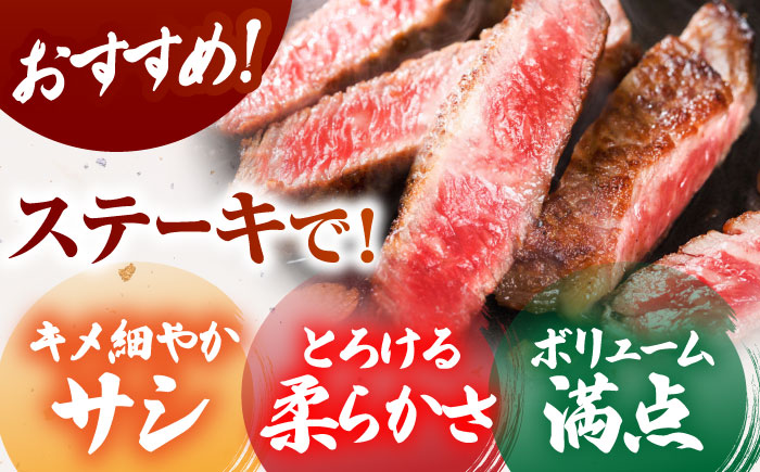 ＜全6回定期便＞佐賀牛 サーロインステーキ 計600g（300g×2パック）【がばいフーズ】A5ランク 佐賀牛 肉 牛肉 [HCS057]