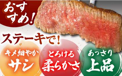 ＜全3回定期便＞佐賀牛ヒレステーキ 200g【がばいフーズ】A5ランク 佐賀牛 牛肉 赤身 [HCS059]
