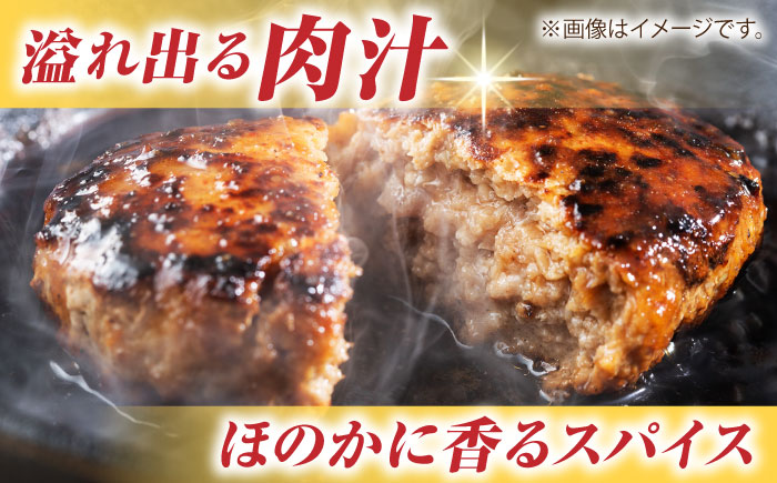 佐賀牛 日常使いセット ＜ハンバーグ150g×6個・切り落とし500g＞【がばいフーズ】A5 A4 佐賀牛 切り落とし 牛肉 [HCS072]