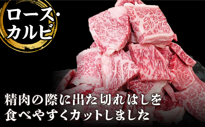 佐賀牛 がばいフーズのおすすめセット＜コウネ・ロース・カルビ＞ 1kg 【がばいフーズ】 [HCS074]