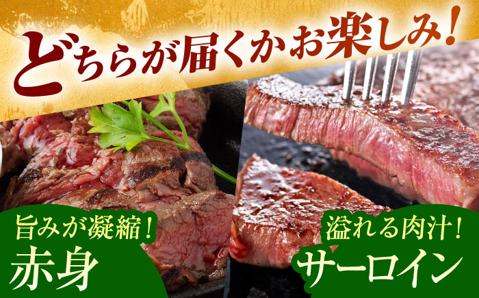 佐賀牛 ステーキ 400g （サーロイン/赤身） 【がばいフーズ】[HCS078] 牛肉 A5ランク