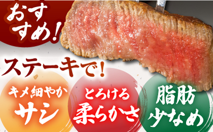 【全12回定期便】佐賀牛シャトーブリアン 毎月400g（200g×2パック）【がばいフーズ】 [HCS106]