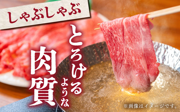 佐賀牛 スライス盛り合わせ A 計1kg 【がばいフーズ】[HCS113] 牛肉 サーロイン 赤身