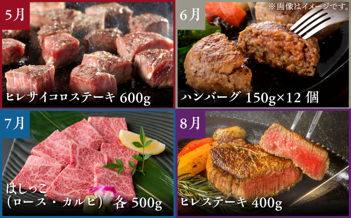 【全12回定期便】佐賀牛 プレミアムコース（4人前） 【がばいフーズ】 [HCS121] 牛肉