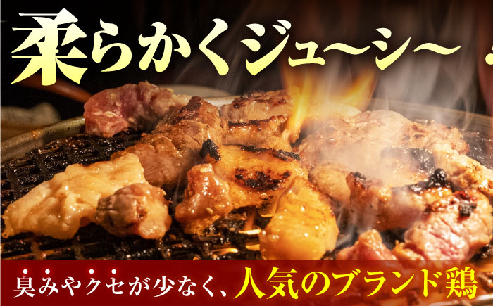 【全12回定期便】佐賀のお肉 焼肉 セット（牛肉・豚肉・鶏肉）【吉祥】 [HCW020]