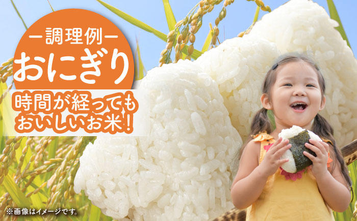 【ご飯でご飯が食べられる！】令和7年産 さがびより 白米 5kg（一等米）【一九FARM】 [HDC001]