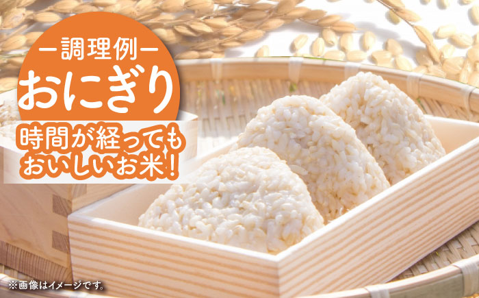 【ご飯でご飯が食べられる！】令和7年産 さがびより 玄米 5kg（一等米）【一九FARM】 [HDC002]
