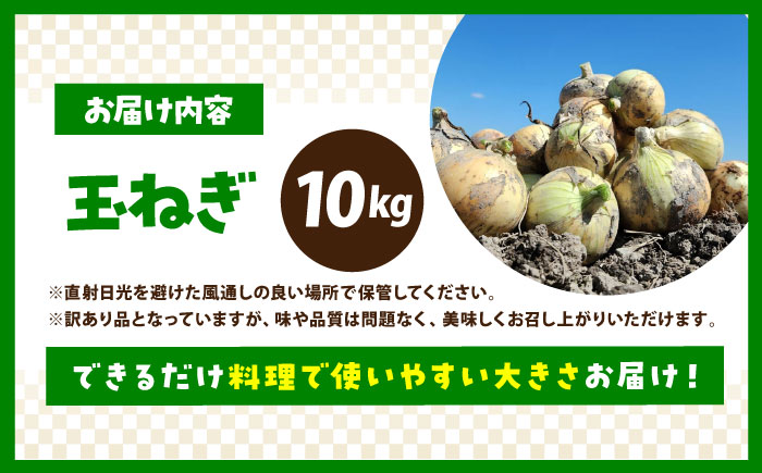 【今が旬!】 訳あり 玉ねぎ 10kg（小玉）【えぐちファーム】 不揃い たまねぎ [HDE002]