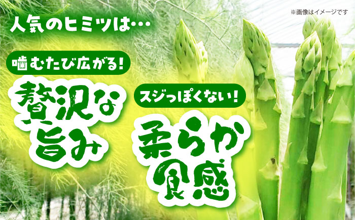 【訳あり】 MOTTAINAI アスパラ 1kg 【えぐちファーム】 アスパラガス ワケアリ [HDE003]