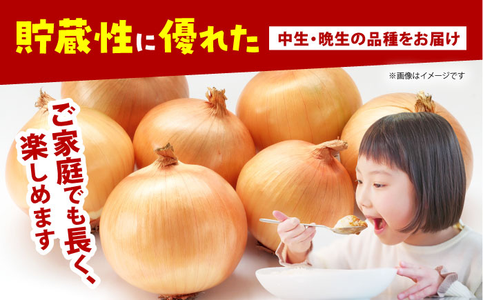 【今が旬!】 訳あり 玉ねぎ 10kg 　【えぐちファーム】 不揃い たまねぎ [HDE004]