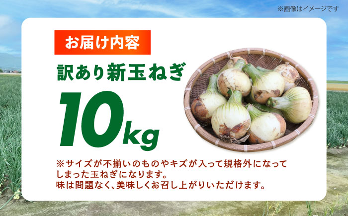 訳あり 新玉ねぎ 10kg  【あかるい農園 ミッチ?】 不揃い たまねぎ [HDF001]