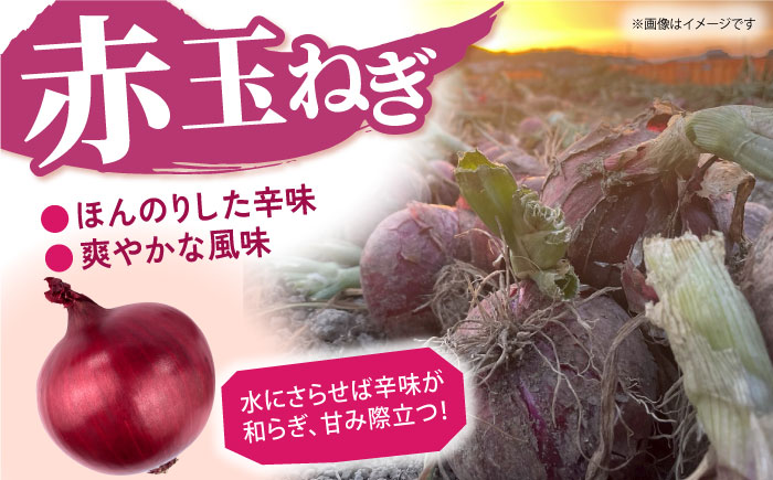 【先行予約】 玉ねぎ（白・赤）セット 計5kg 【吉祥】 [HDG002]