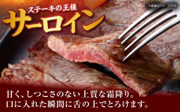 佐賀牛サーロインステーキ 計800g（200g×4枚） [HDH008]