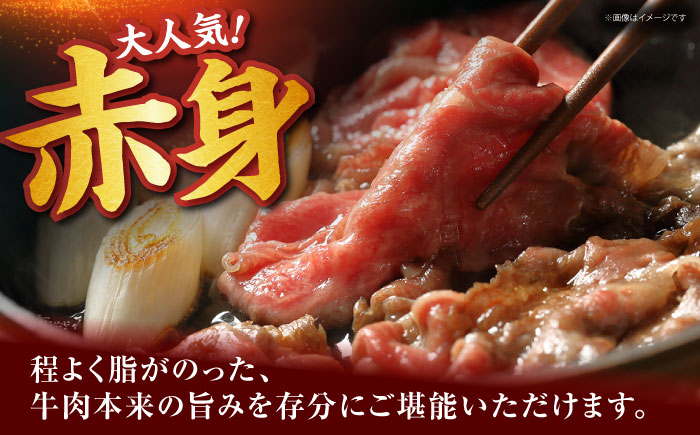 佐賀牛 赤身 （しゃぶしゃぶ・すき焼き用） 500g [HDH010]