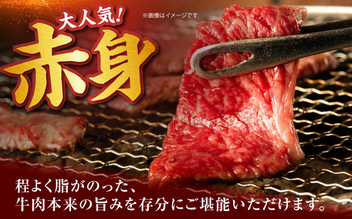 佐賀牛 赤身 （焼肉用）400g [HDH012]
