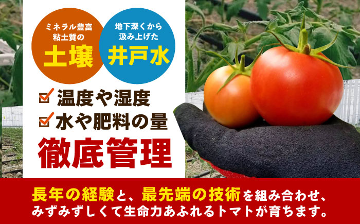 【1～4月発送】 訳あり トマト （カレン） 2kg 【にしやまファーム】 [HDI001]