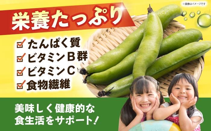 【朝採れ】 訳あり 生そら豆 2.5kg 【にしやまファーム】 新物 さや付き そら豆 [HDI002]