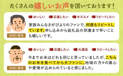 【全12回定期便】さがびより 無洗米 5kg 特A米 特A評価 [HBL027]