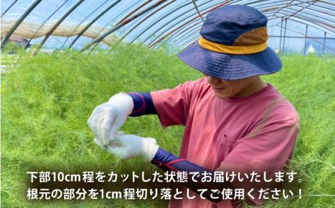 【お手軽調理】ミニアスパラガス 800g【けいちゃん農園】 [HCC011]