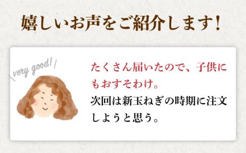 【先行予約】江北町産 たまねぎ 約6kg【百武青果】 [HAE008] 玉ねぎ