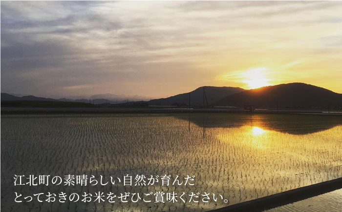 令和6年産 玄米 食べ比べセット4kg（夢しずく 2kg・さがびより 2kg）【北原農園】 [HCA005]