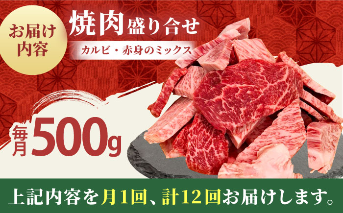【全12回定期便】佐賀牛 焼肉用（カルビ・赤身） 500g 【田中畜産牛肉店】 佐賀牛 牛肉 精肉 肉 切り落とし [HBH156]