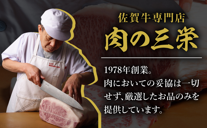【全12回定期便】佐賀牛 ミンチ ＆ 切り落とし【肉の三栄】 [HAA086]