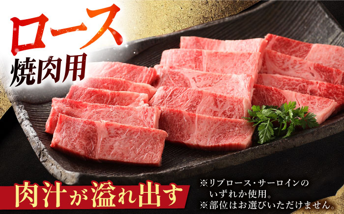 【12/20入金まで年内発送】佐賀牛 花鳥風月セット（3.2kg）【肉の三栄】 [HAA011] 牛肉