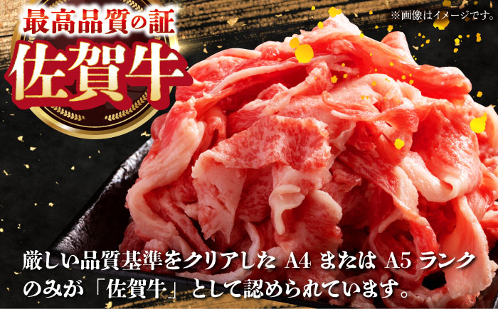 【全12回定期便】佐賀牛ロース尽くし定期便【肉の三栄】 [HAA071]