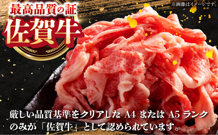 【全12回定期便】季節の佐賀牛定期便（2人前）【肉の三栄】 [HAA072] 牛肉