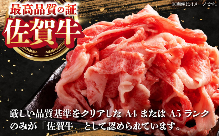【全6回定期便】日常に贅沢をプラス バラエティ定期便【肉の三栄】 [HAA074] 牛肉
