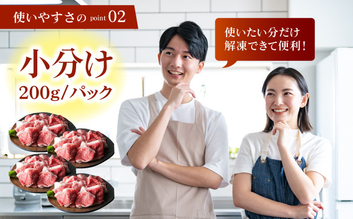 【全12回定期便】佐賀牛 切り落とし 1kg （200g×5パック）【肉の三栄】 [HAA082]