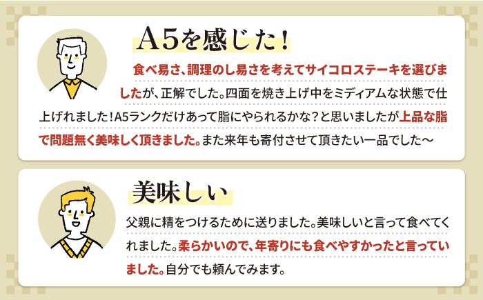 佐賀牛 ロース サイコロステーキ（約300g×2パック）【肉の三栄】霜降り サーロイン リブロース 肩ロース 牛肉 [HAA109]
