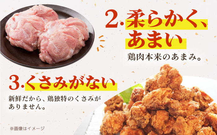 【12/20入金まで年内発送】ありたどり モモ肉 ブロック 計1kg 【肉の三栄】 ありた鶏 もも もも肉 モモ 鶏肉 [HAA115]