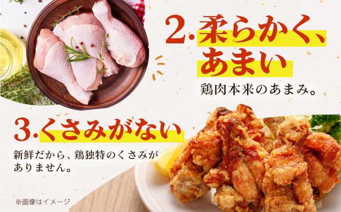 【12/20入金まで年内発送】【朝引き】ありたどり 手羽元 計2kg 【肉の三栄】 ありた鶏 手羽 [HAA147]