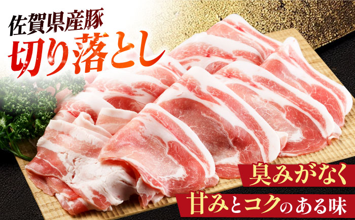ハンバーグ付き！三栄のデイリーセット 【肉の三栄】 佐賀牛 佐賀県産豚 ありたどり 切り落とし [HAA203]