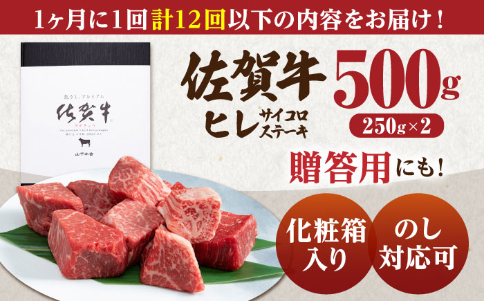 【全12回定期便】佐賀牛 ヒレ サイコロステーキ 500g(250g×2パック)【山下牛舎】 [HAD074]