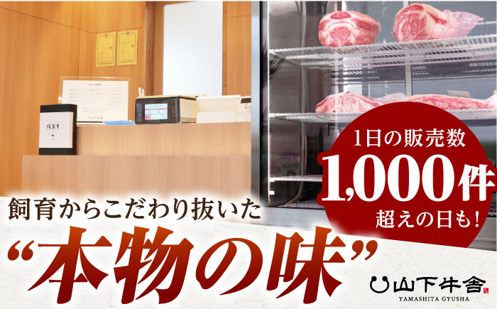 【全6回定期便】佐賀牛 赤身 定期【山下牛舎】 [HAD100]