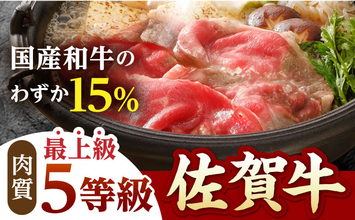 【全6回定期便】佐賀牛 極上定期【山下牛舎】 [HAD113] 牛肉